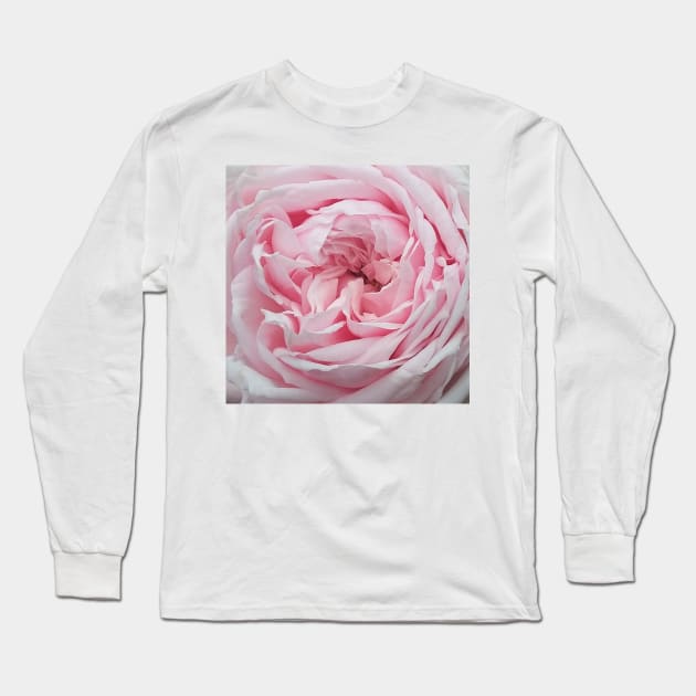Rose and petals t shirts store